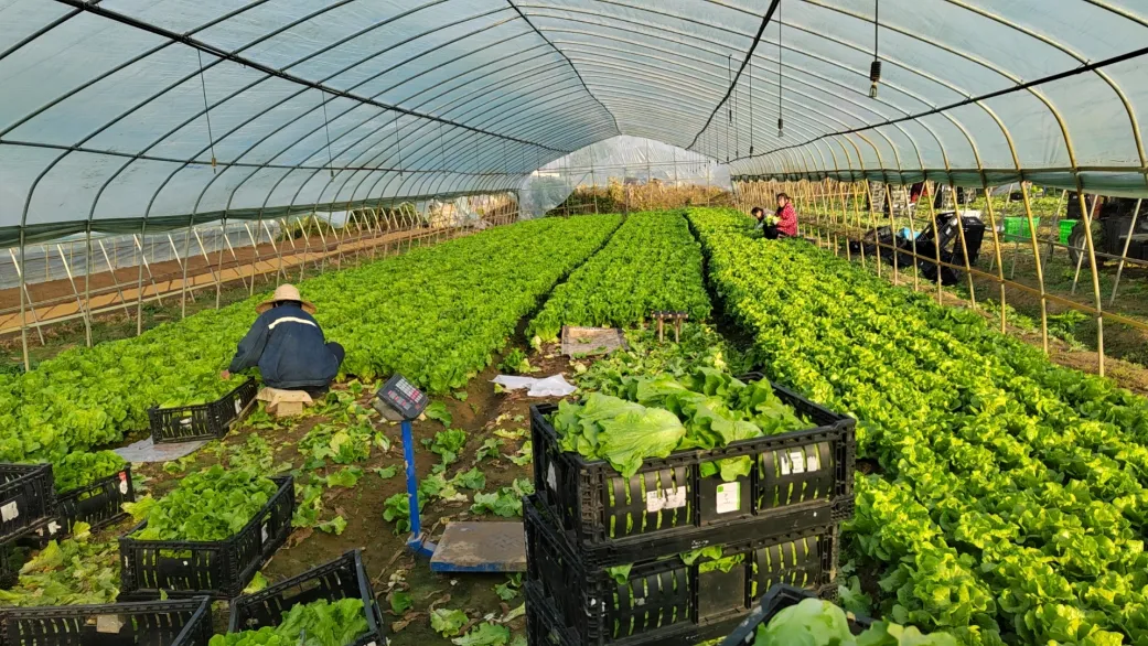 拉斯维加斯游戏·(中国)官方网站